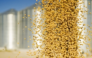 84b750c77e6a9b8183675e6714cad926